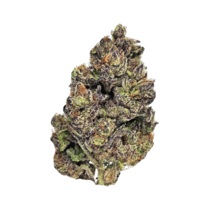 Purple Cream Pop only available at Sentora Farms